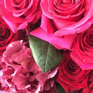 Meet your Posher, Natalie